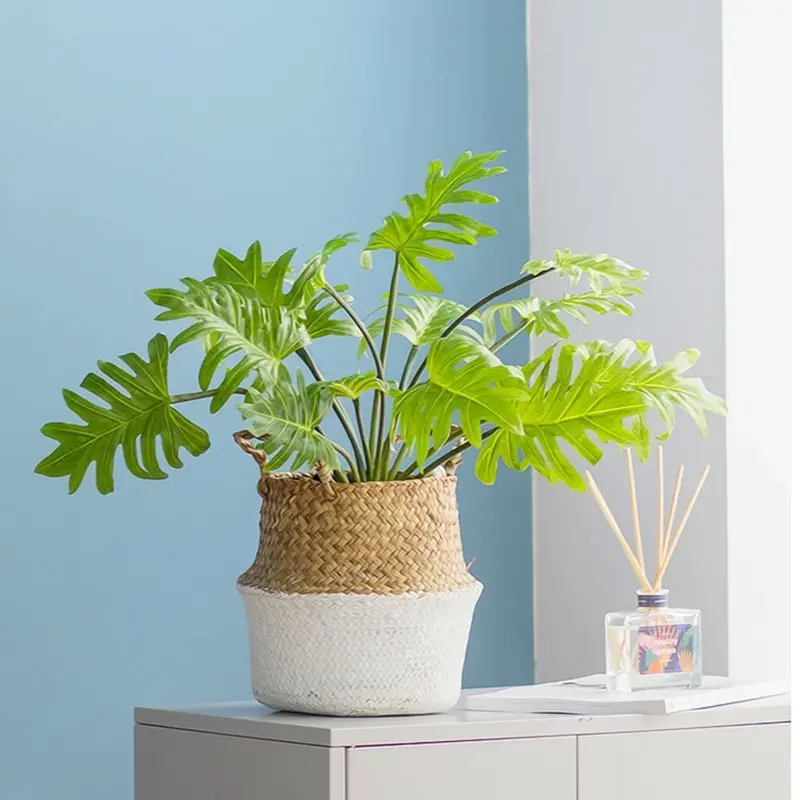 Artificial Plants Green Turtle Leaves Garden Home decor 1 Bouquet Mexican Autumn Decoration artificial grass plant edae56bb d0df 4ba4 ba54 d72159656d07