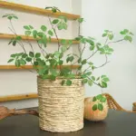 Artificial Guanyin Lotus leaf Branch 90cm 35.4in