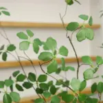 Artificial Guanyin Lotus leaf Branch 90cm 35.4in