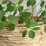 Artificial Guanyin Lotus leaf Branch 90cm 35.4in