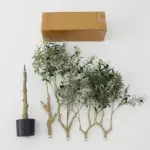 Artificial Olive Tree Artificial Plant tag1