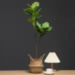 Artificial_Plants_Ficus_Tree_Branch_Banyan_-_-4128595 Artificial Plants Ficus Tree Branch Banyan