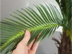 Artificial Sago Cycas Artificial Plants