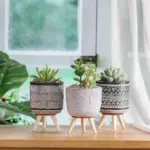 Artificial Succulent Plant Pots 3pc