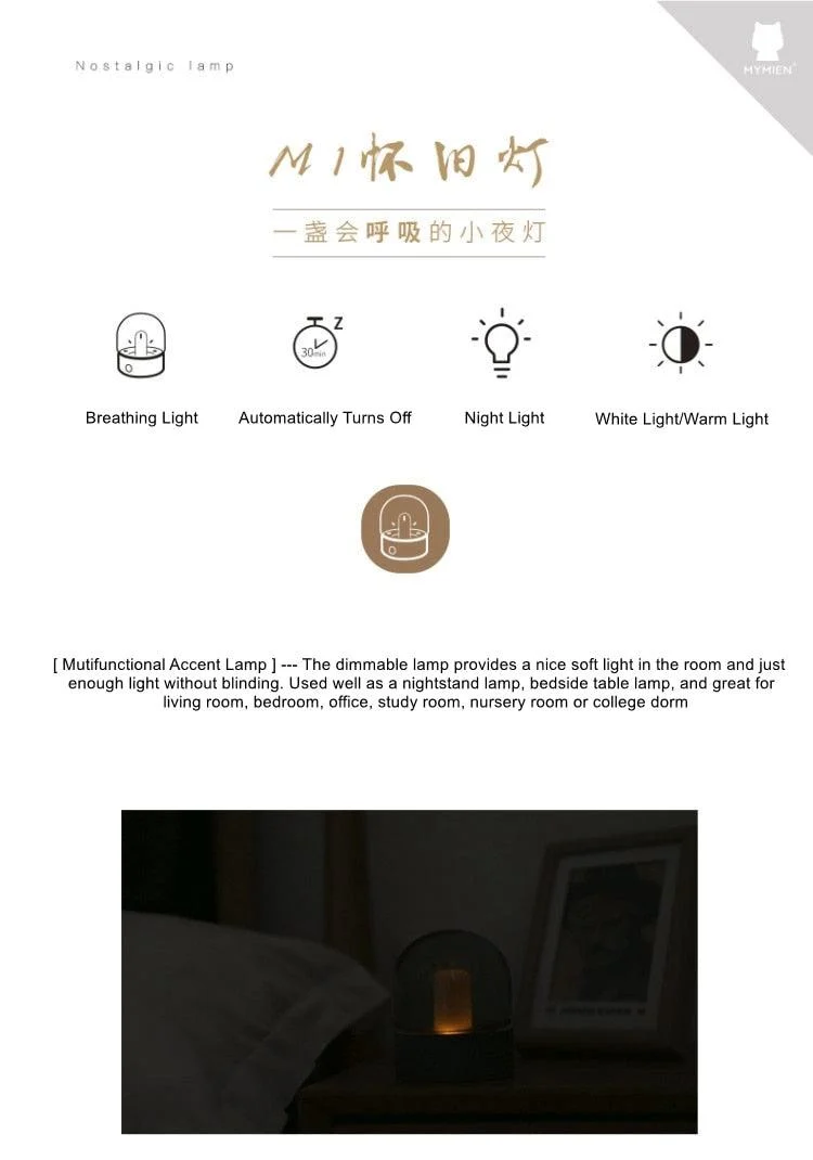 Asher - Glass Dome Desk Lamp -  - #tag1#