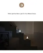 Asher Glass Dome Desk Lamp tag1