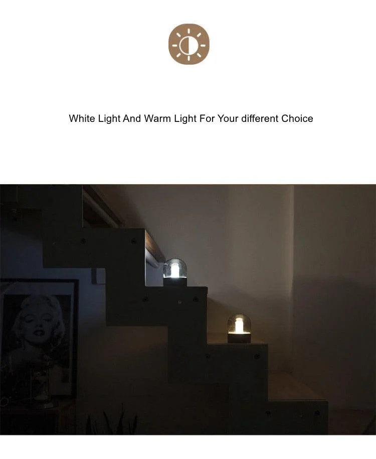 Asher - Glass Dome Desk Lamp -  - #tag1#