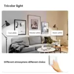 AuraGlimmer Round Glass Wall Lamps tag1