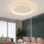 AuroraGlobeLED Deckenleuchte NordischesDesignGleichmassigeBeleuchtungHochwertigeMaterialien2xlumina