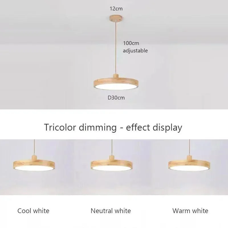 AuroraLight - Scandinavian Slim Pendant Lamp -  - #tag1#