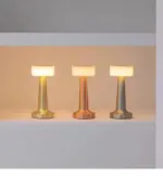 Auroraglo Danish LED Table Lamp tag1