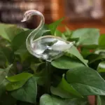 Automatic Self Watering Glass Bird Watering Cans Flowers Plant Decorative Clear Glass Watering Device House Garden 0c320faa 7a14 4bf2 b288 762cdde4ea35