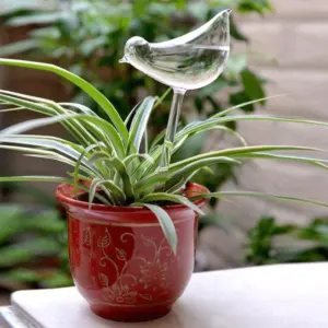 Self Watering Glass Bird