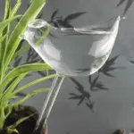 Automatic Self Watering Glass Bird Watering Cans Flowers Plant Decorative Clear Glass Watering Device House Garden f38ba1aa f363 40ab 8687 315747c13672