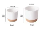 Automatic Water Absorbing Flowerpot Succulent Plant Pot Double layer Flower Pot Bonsai Green Dill Small Tree 635d7b91 2bf3 48ee b065 ab28c3147ad1