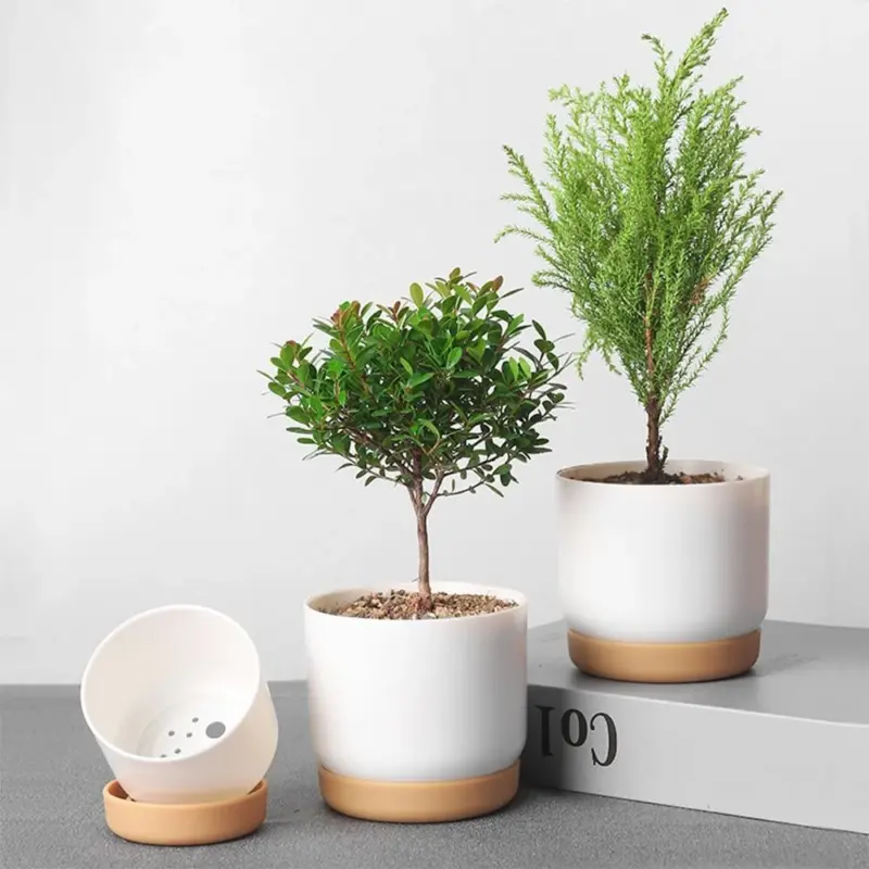 Automatic Water Absorbing Flowerpot Succulent Plant Pot Double layer Flower Pot Bonsai Green Dill Small Tree db415f19 8b35 4b88 a5ad 32b564f7e159