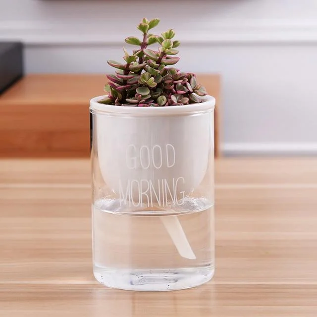 Automatic Watering Planter Pot -  - #tag1#