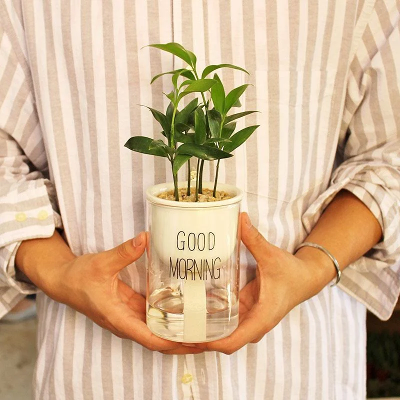 Automatic Watering Planter Pot -  - #tag1#