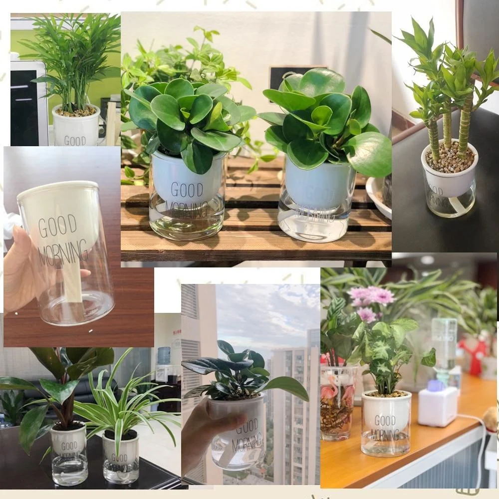 Automatic Watering Planter Pot -  - #tag1#