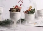 Automatic Watering Planter Pot tag1