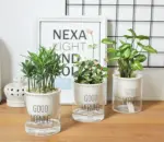 Automatic Watering Planter Pot tag1