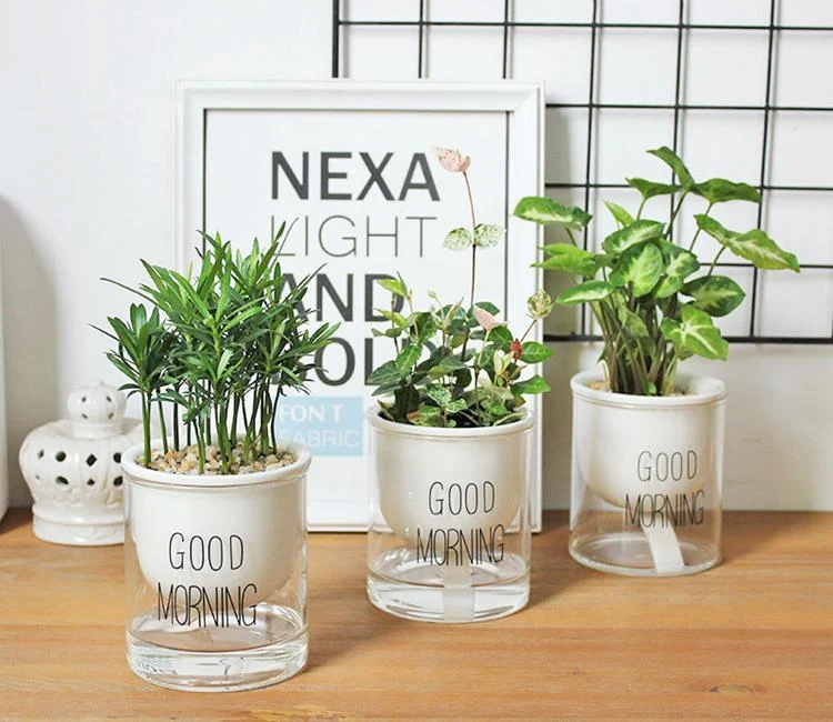 Automatic Watering Planter Pot -  - #tag1#