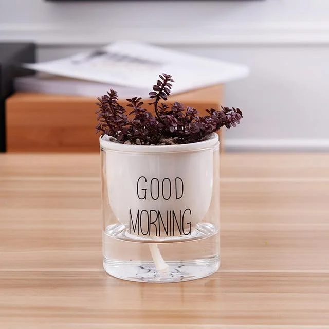 Automatic Watering Planter Pot -  - #tag1#