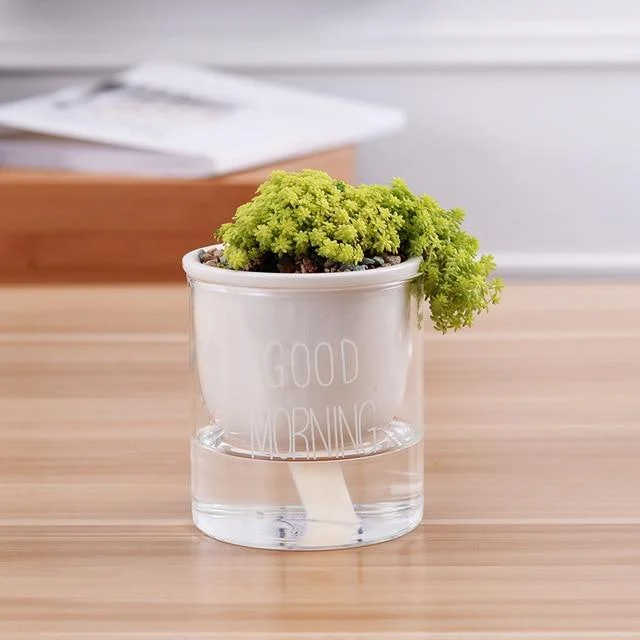 Automatic Watering Planter Pot -  - #tag1#