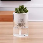 Automatic Watering Planter Pot tag1