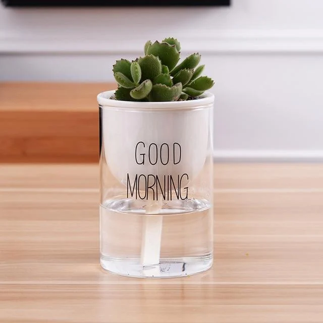 Automatic Watering Planter Pot -  - #tag1#