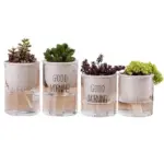 Automatic Watering Planter Pot tag1