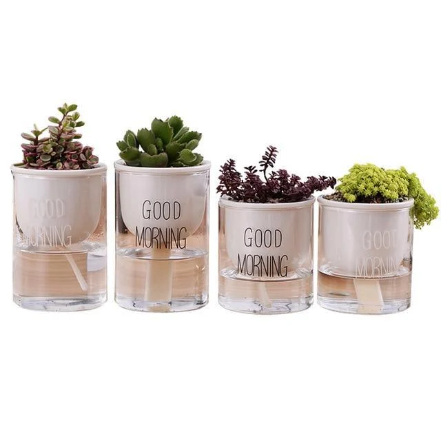 Automatic Watering Planter Pot -  - #tag1#