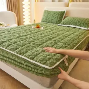 Autumn Winter Thicken Warm Mattress Pad and Pillowcase Soft Tafu Velvet Fitted Bed Sheet Set with Elastic Band Quilted Bed Cover