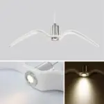 Aviary_Lighting_-_Artistic_Bird_Lamp_-_-_tag1_-4145221 Aviary Lighting Artistic Bird Lamp tag1