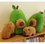 Avocado Capybara Pop Out Plush Toy tag1