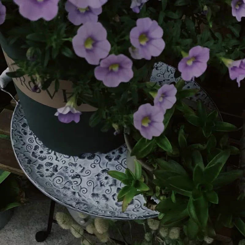 BREVETTATO ANTIQUE TRAY -  - #tag1#