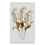 Bacillea_Canvas_-_-4132421 Bacillea Canvas
