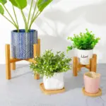 Bamboo_Plant_Base_Stand_-_-4134137 Bamboo Plant Base Stand