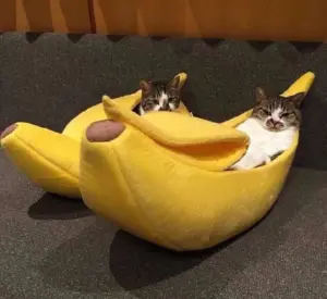 Banana Pet Cushion Bed