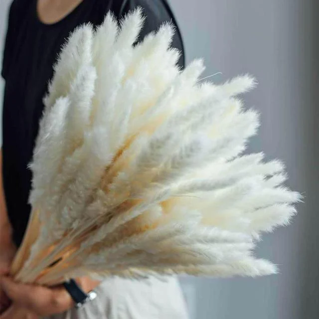 Beautiful Dried Pampas Grass Boquet -  - #tag1#