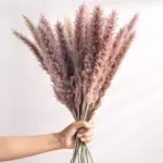 Beautiful_Dried_Pampas_Grass_Boquet_-_-_tag1_-4147720 Beautiful Dried Pampas Grass Boquet tag1