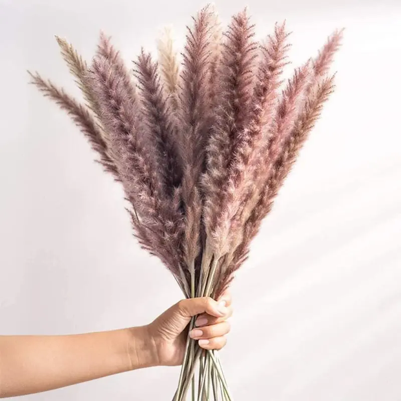 Beautiful Dried Pampas Grass Boquet tag1