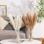 Beautiful_Dried_Pampas_Grass_Boquet_-_-_tag1_-4147726 Beautiful Dried Pampas Grass Boquet tag1