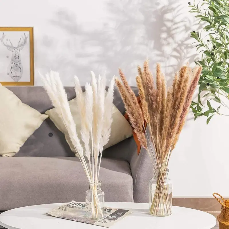 Beautiful Dried Pampas Grass Boquet tag1