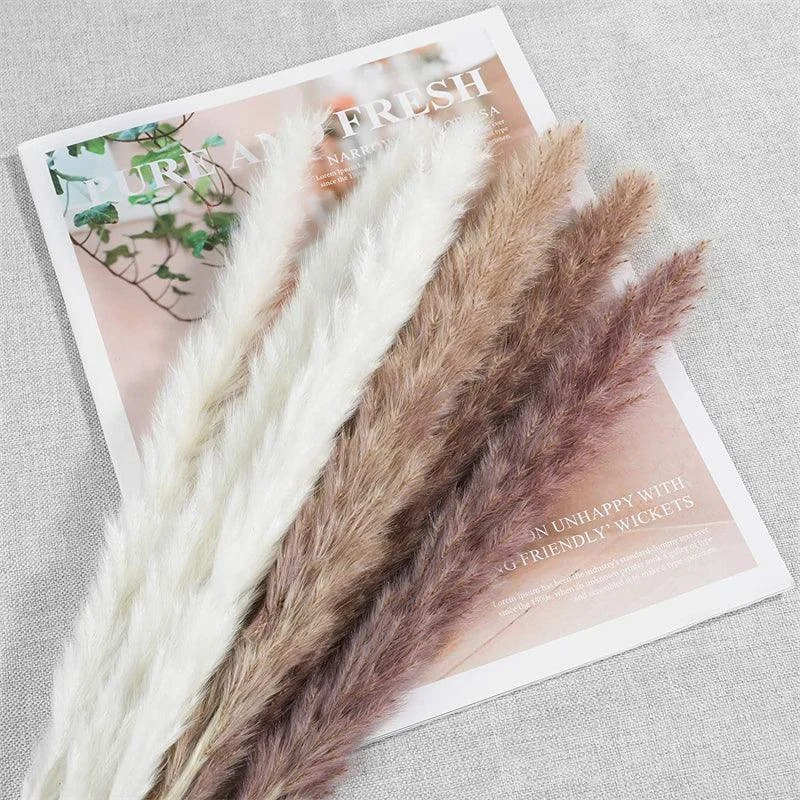 Beautiful Dried Pampas Grass Boquet -  - #tag1#