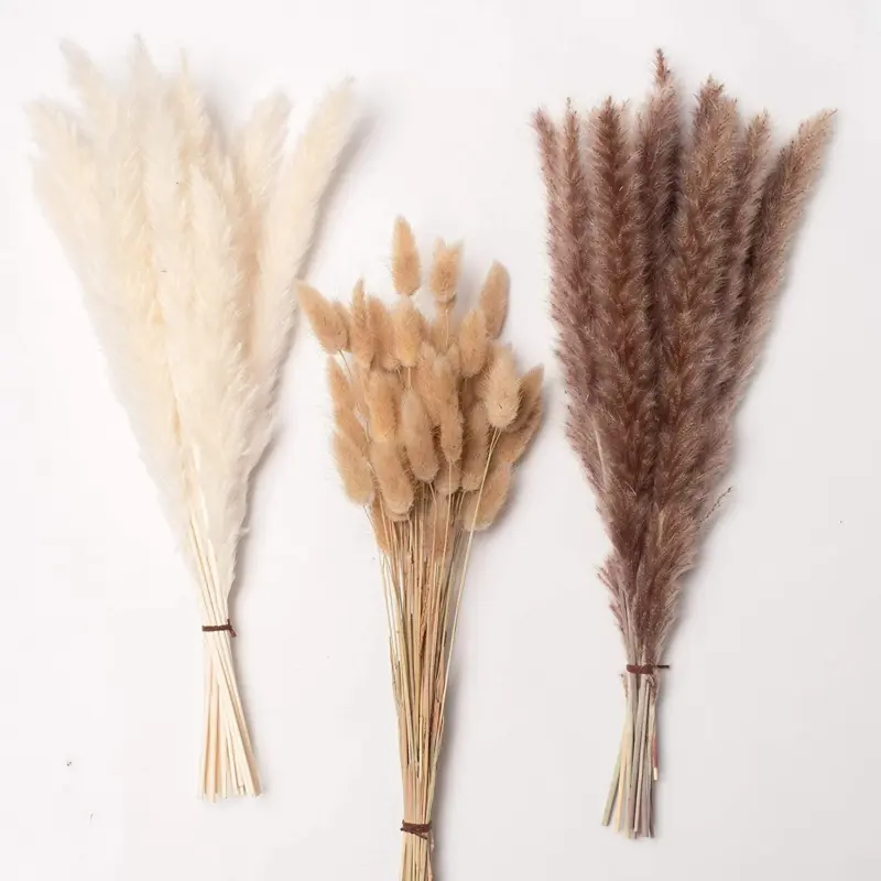 Beautiful Dried Pampas Grass Boquet tag1