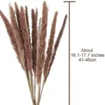 Beautiful_Dried_Pampas_Grass_Boquet_-_-_tag1_-4147750 Beautiful Dried Pampas Grass Boquet tag1