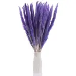 Beautiful_Dried_Pampas_Grass_Boquet_-_-_tag1_-4147758 Beautiful Dried Pampas Grass Boquet tag1
