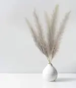 Beautiful_Dried_Pampas_Grass_Boquet_-_-_tag1_-4147765 Beautiful Dried Pampas Grass Boquet tag1