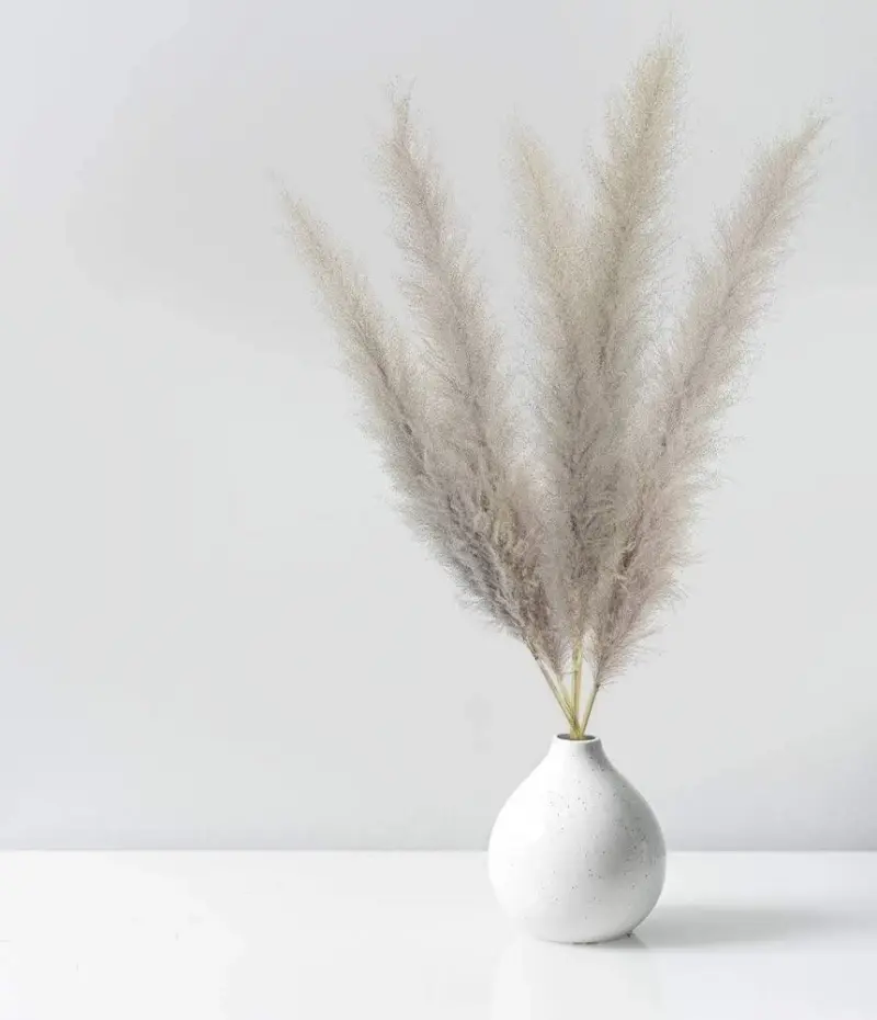 Beautiful Dried Pampas Grass Boquet tag1